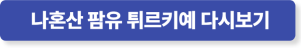 나혼자산다 팜유 튀르키예 편 다시보기