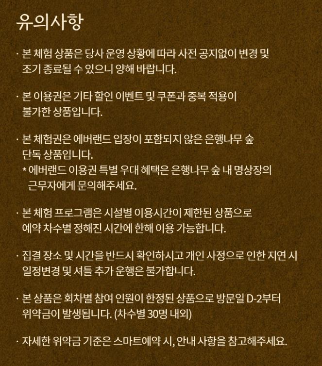 에버랜드 은행나무숲 예약 