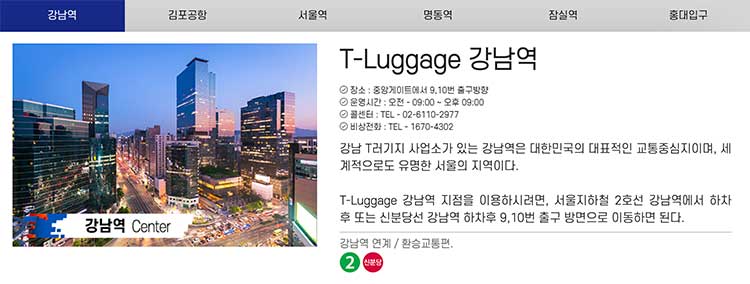 강남역 티러기지