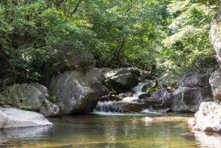 군위 동산계곡