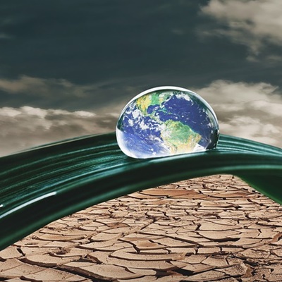 가정에서 쉽게 하는 토양 테스트 방법 3가지: 건강한 작물 재배의 시작