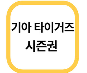 기아 타이거즈 시즌권 썸네일
