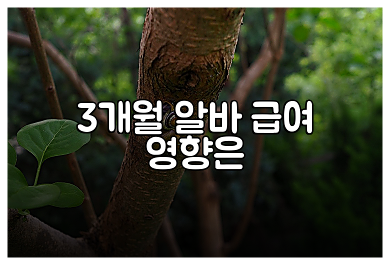 3개월 알바 급여 영향은