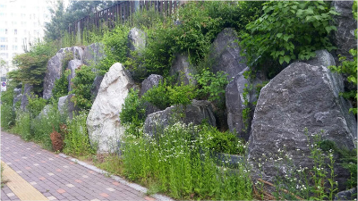 가공조경석사진