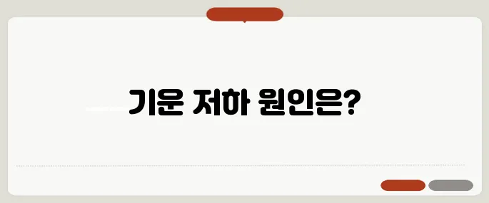 기운이 없는 증상 갑상선 저하·빈혈 모두 의심