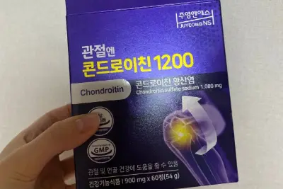 관절엔 콘드로이친 1200
