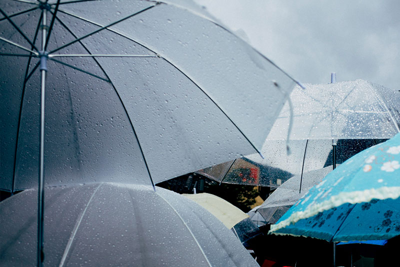 장마철 생존템 필수 리스트