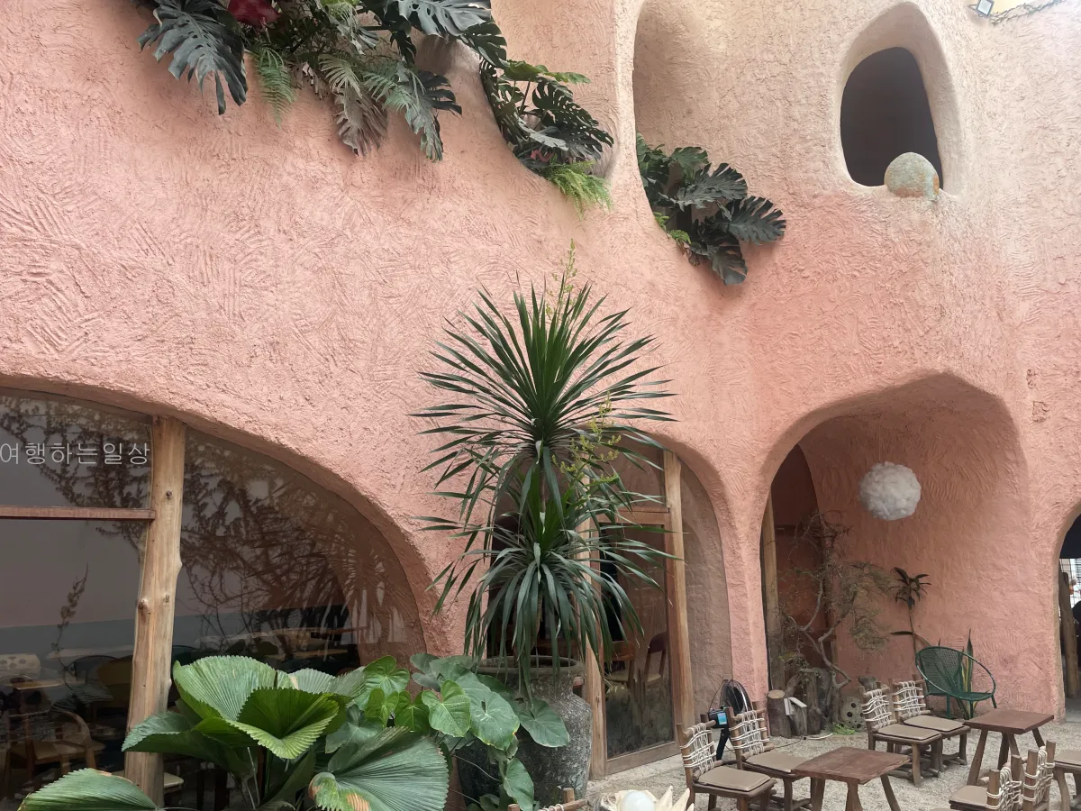 부모님이랑-나트랑-올라카페-포토존-코코넛커피-요거트-솔직후기