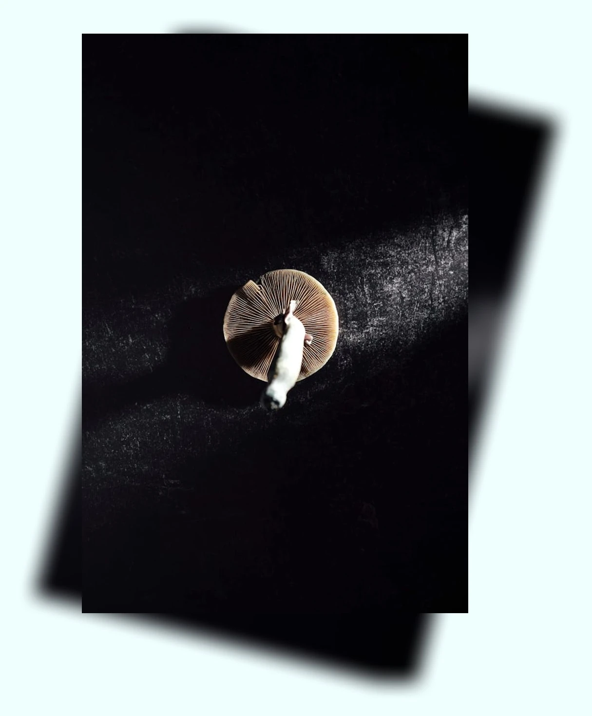 뇌 건강_3_subsection