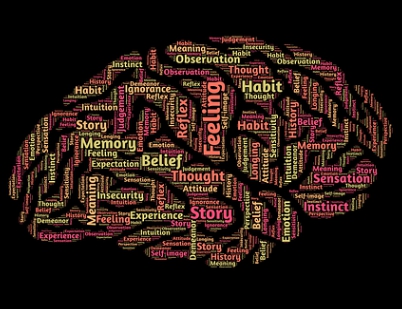 포스파티딜 세린 효능