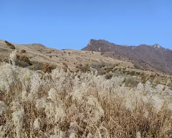 황매산 억새축제_12