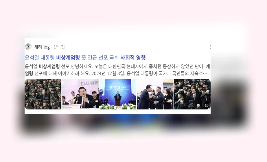 비상계엄령의 사회적 영향_2_subsection