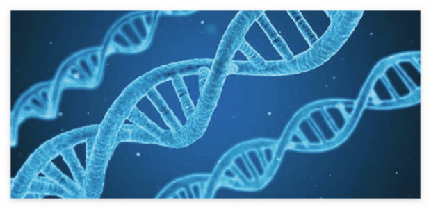 콘드로이친 효능