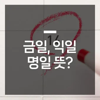 명일 뜻 익일 작일 금일 내일 전일 어제 차일 정리_5