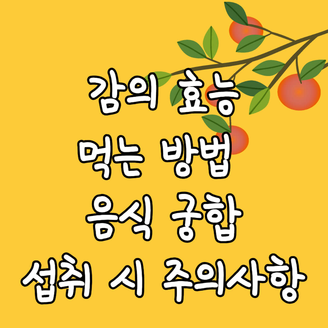 감 효능 먹는 방법 잘 어울리는 음식 및 섭취 시 주의사항