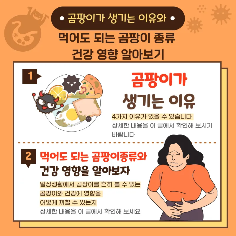 곰팡이 생기는 이유와 곰팡이 종류