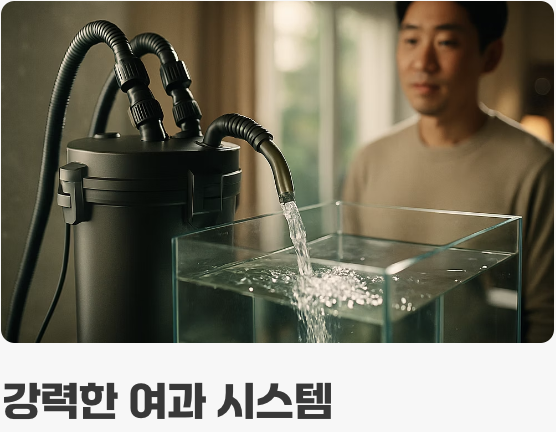 수정처럼 맑은 샘물의 법칙