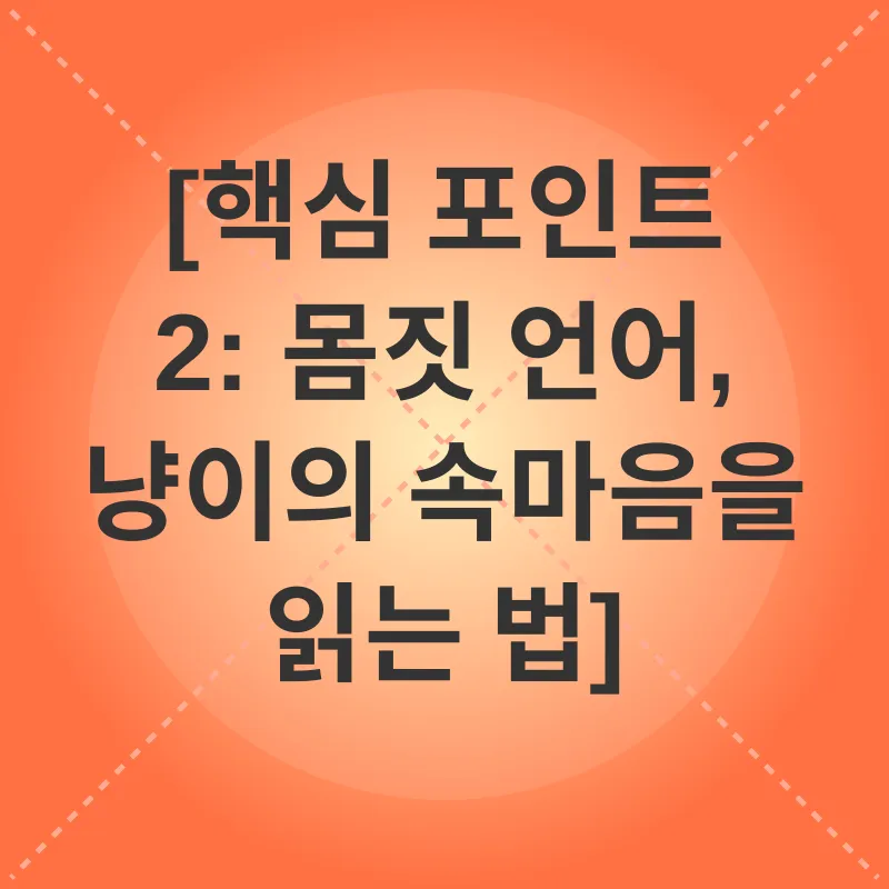 고양이 의사소통_2