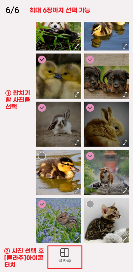 갤러리 만들기 콜라주 사진 합치기