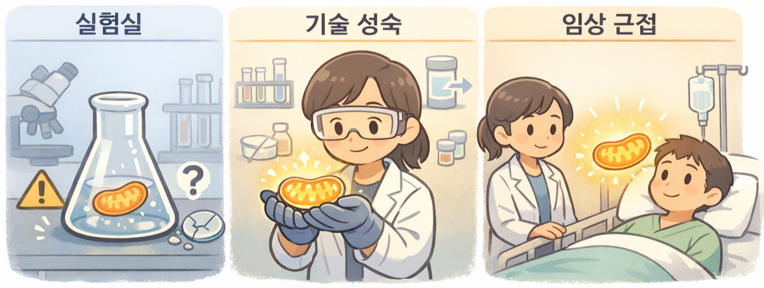 미토콘드리아 치료 기업: 세계 바이오텍 기업과 임상연구