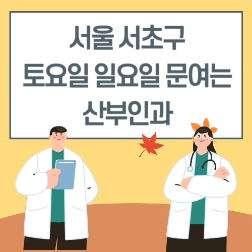 서울 서초구 토요일 일요일 산부인과 진료 병원 리스트