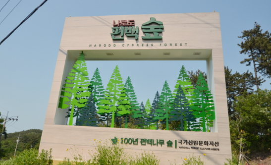 봉래산 편백숲
