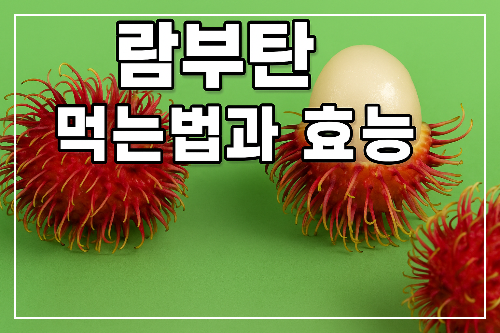 람부탄 먹는법과 효능