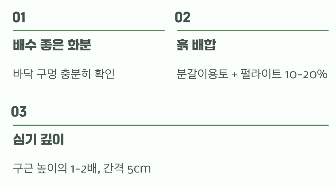 두 번째 비결: 프리지어를 위한 안락한 집
