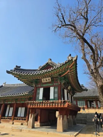 창덕궁 봄 꽃 개화 시기 근처 맛집 10선_8