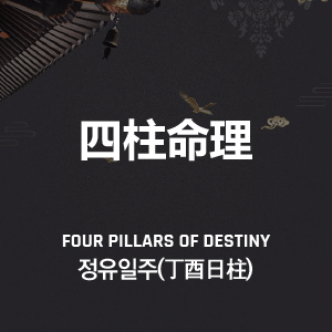 정유일주(丁酉日柱)