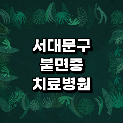 서울 서대문구 불면증