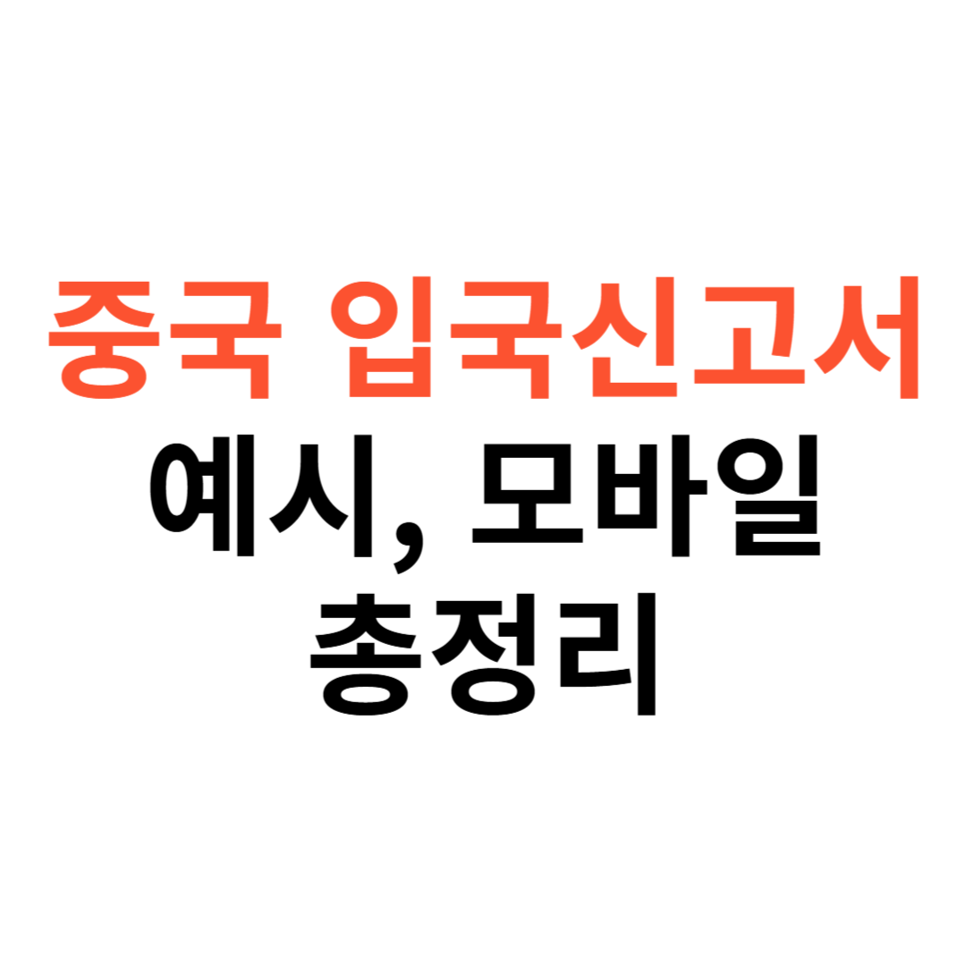 중국 입국신고서 예시