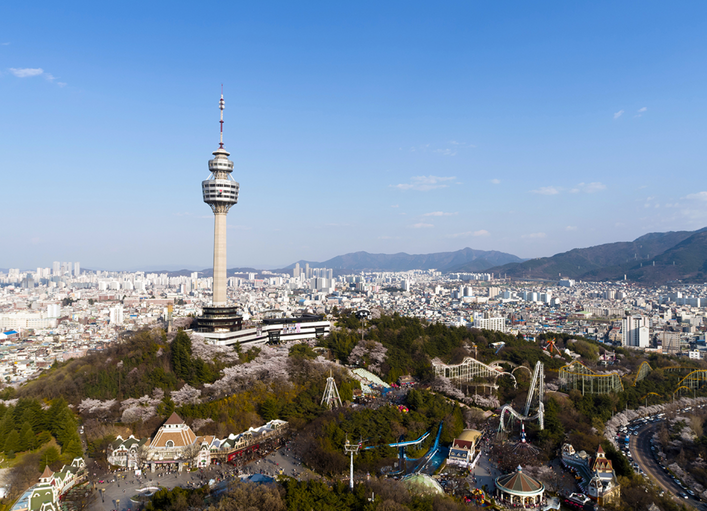 대구 가볼만한곳 베스트10