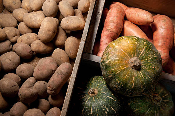 임플란트 수술 후 좋은음식 13