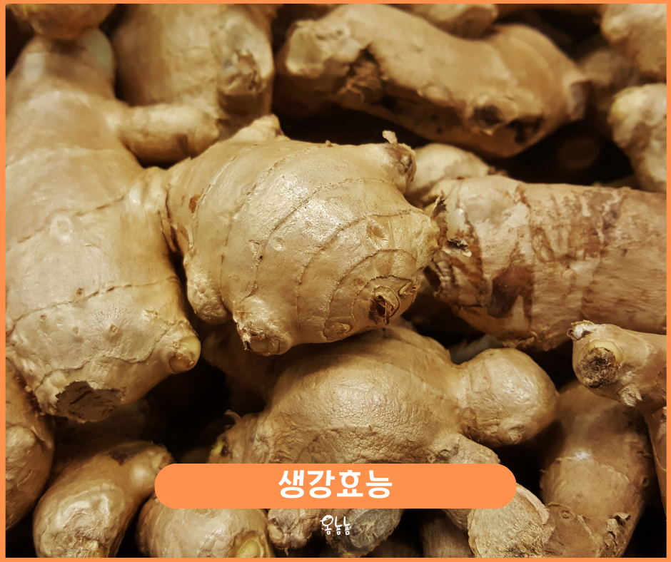생강효능