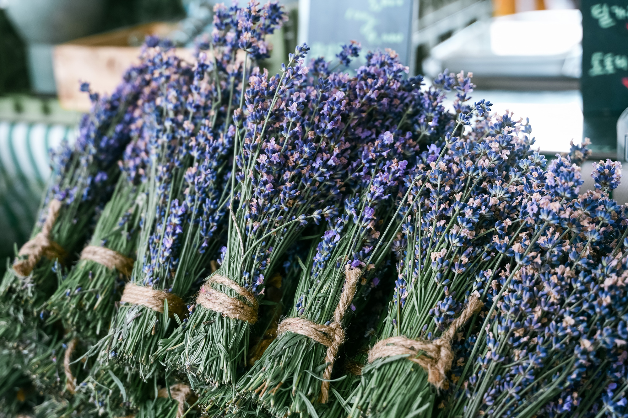 DDPlay 7월 농부시장 마르쉐