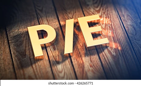 P/E 비율