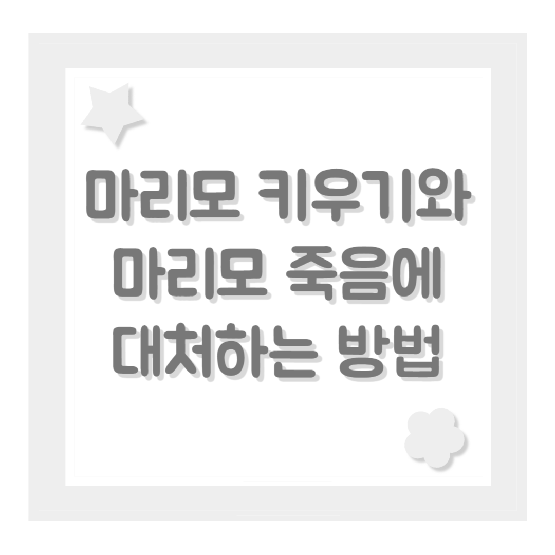 마리모 키우기와 마리모 죽음에 대처하는 방법