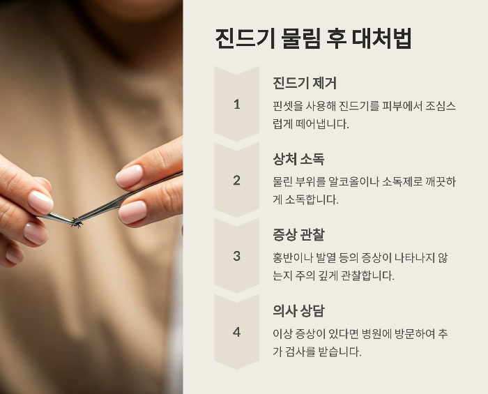 진드기 물림 후 대처 방법