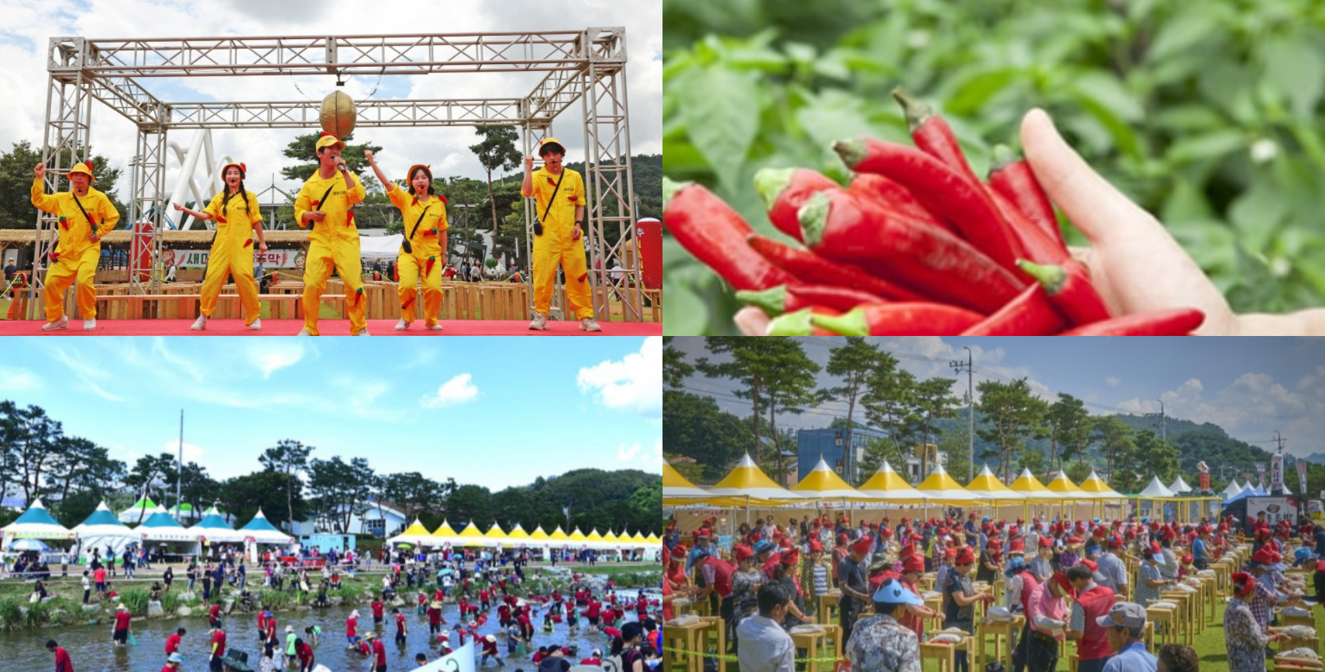 괴산 고추축제 일정