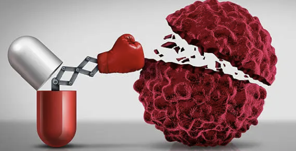 Combination Therapy 분석법 개발 &ndash; 항암제 병용요법에서 Multi-analyte Quantification 설계