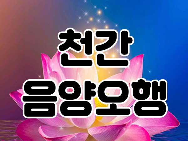 천간 음양오행 총정리