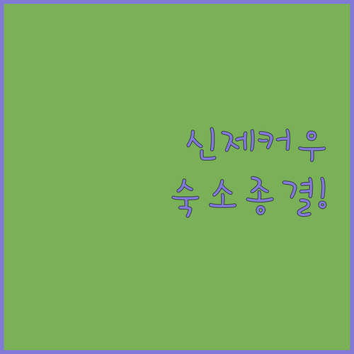 난징 자유여행 숙소 결정판 신제커우 ..