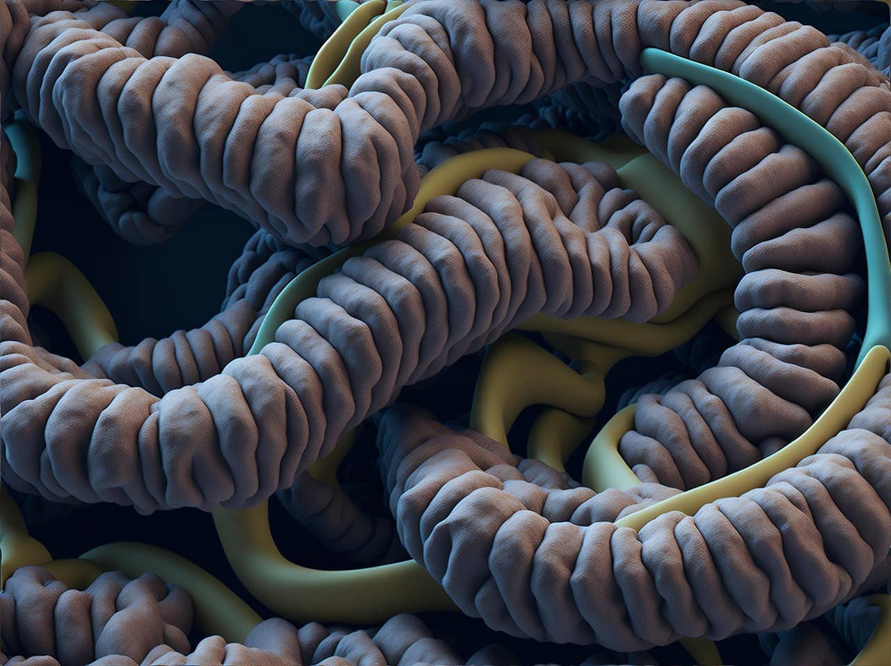 혀 상태와 장내 미생물 균형의 연결고리