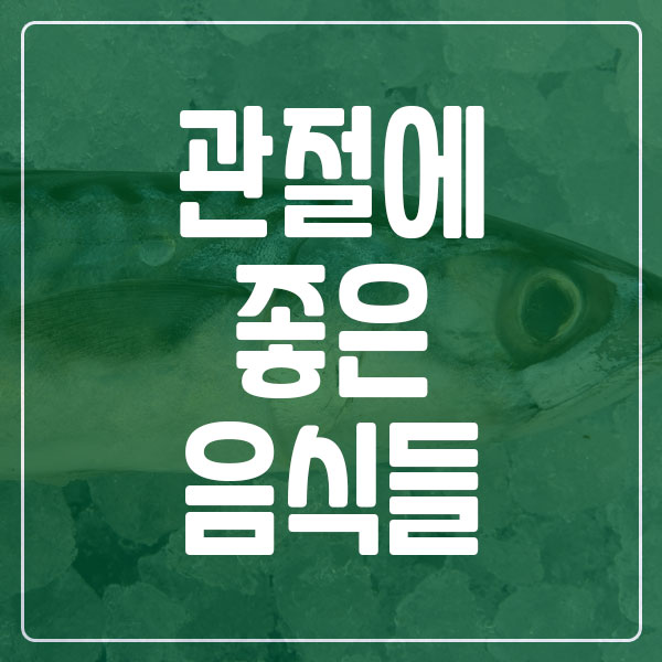 관절에 좋은 음식 총정리