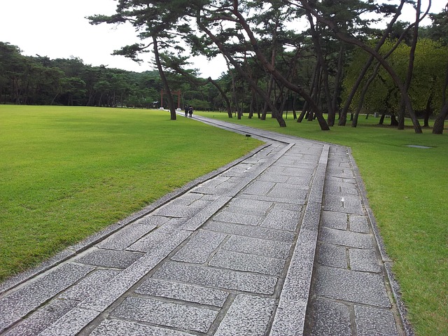 왕릉 사진