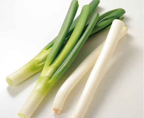 대파