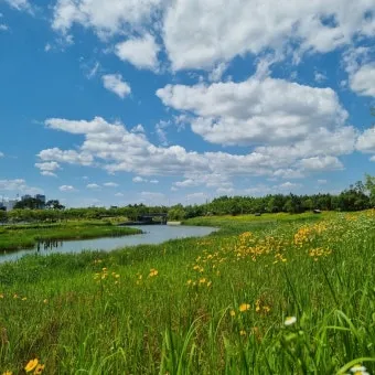 풍경 사진 잘 찍는 방법 꿀팁_12