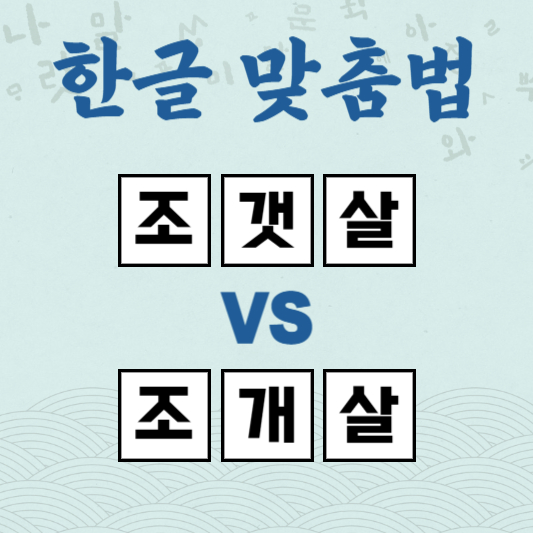 조갯살 조개살