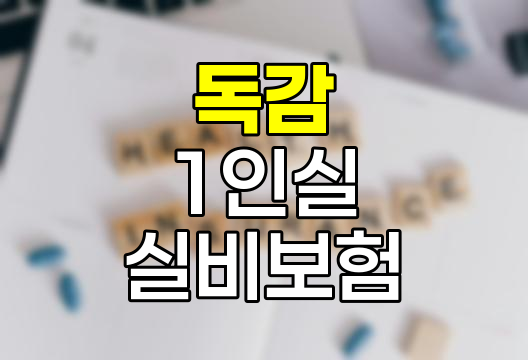 독감 1인실 입원 실비보험 적용 기준